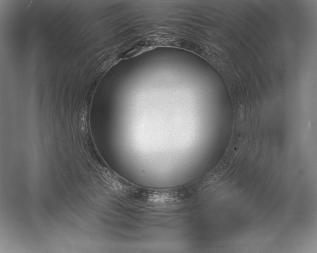 X0000052990177200507221230