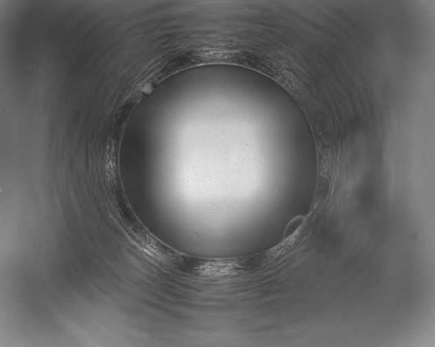 X0000052990179200507221230