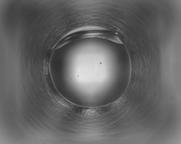 X0000052990180200507221230