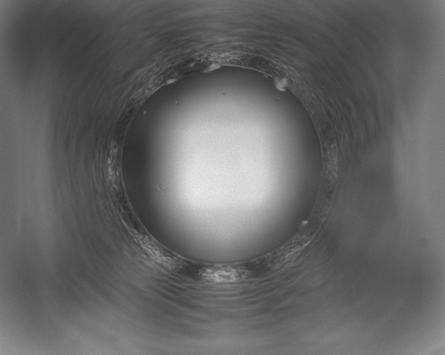 X0000052990181200507221230
