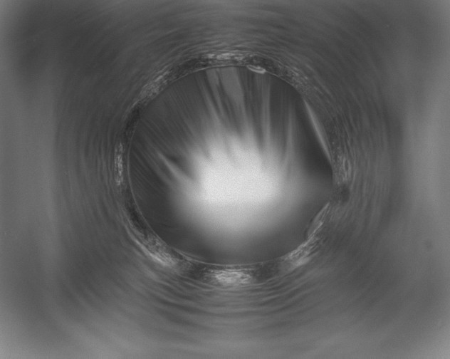 X0000052990183200507221230
