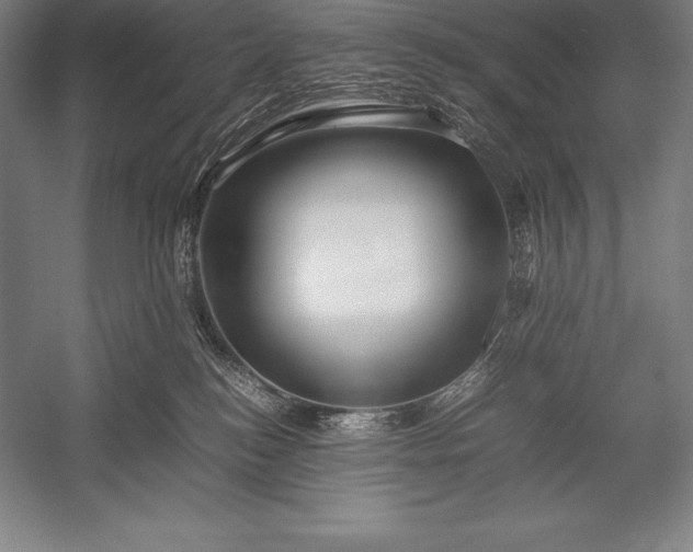 X0000052990184200507221230