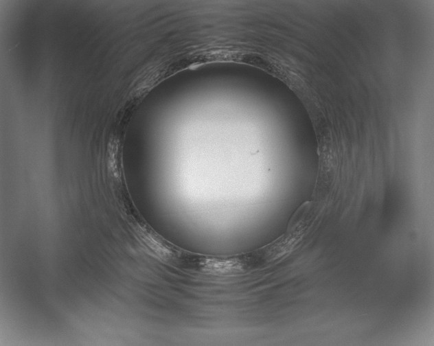 X0000052990185200507221230