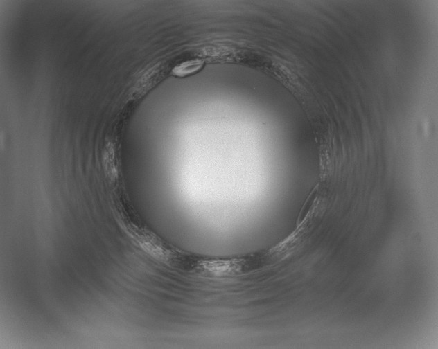 X0000052990187200507221230