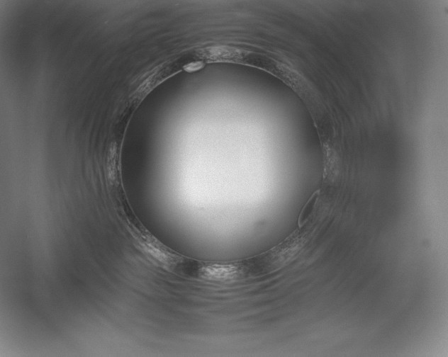 X0000052990189200507221230