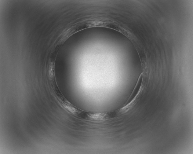 X0000052990191200507221230