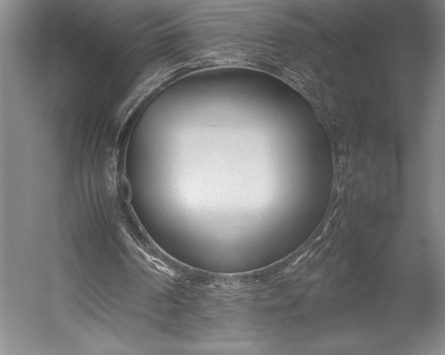 X0000052990194200507221230