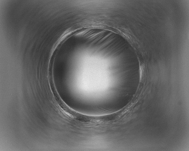 X0000052990195200507221230