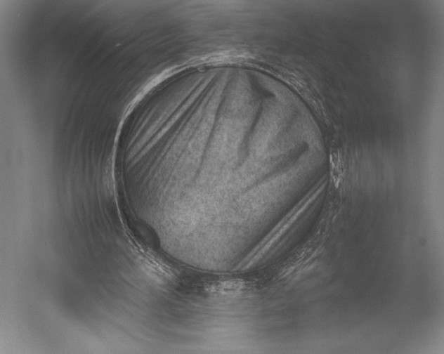 X0000052990196200507221230