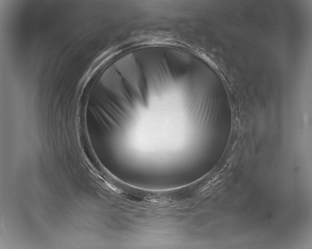 X0000052990199200507221229