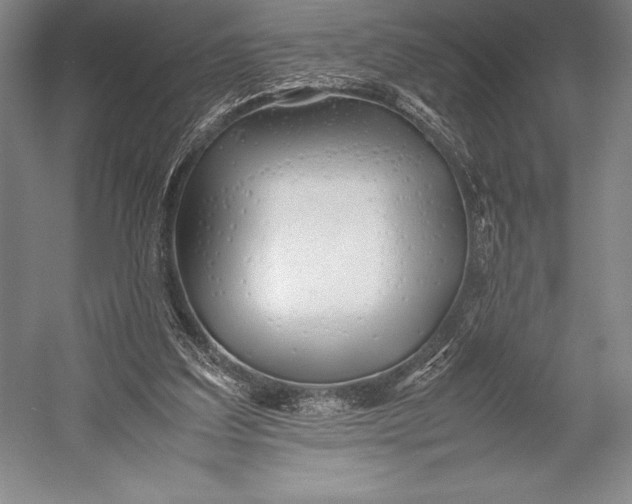 X0000052990203200507221229