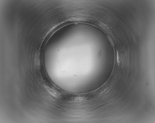 X0000052990204200507221229