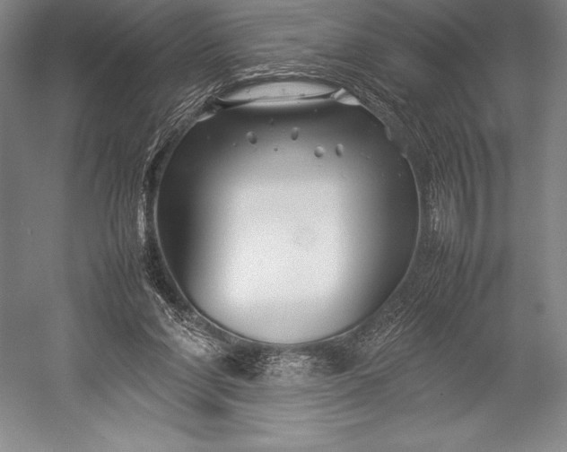 X0000052990206200507221229