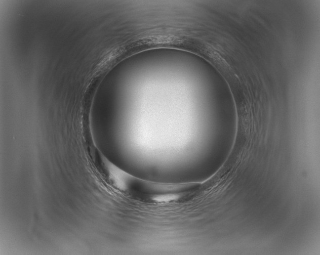 X0000052990207200507221229