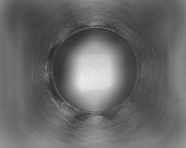 X0000052990210200507221229
