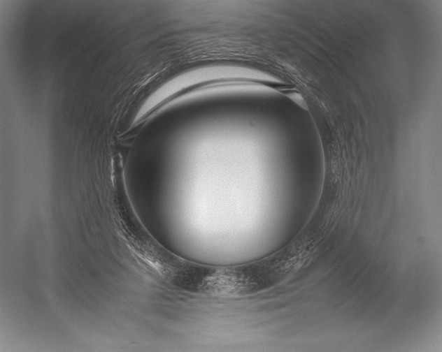 X0000052990211200507221229