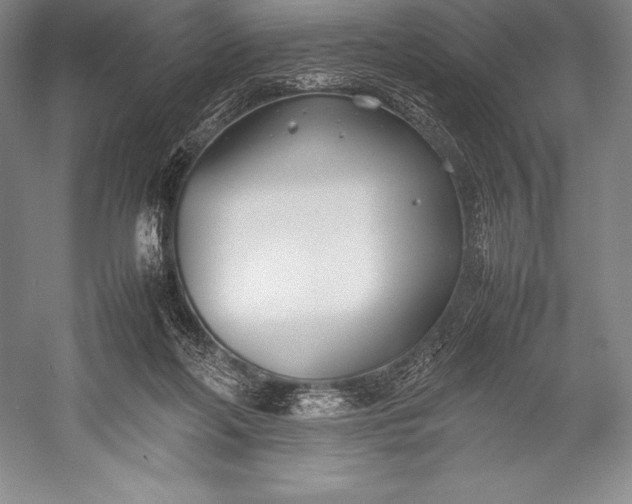 X0000052990214200507221229