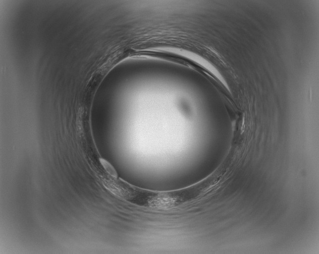 X0000052990217200507221229