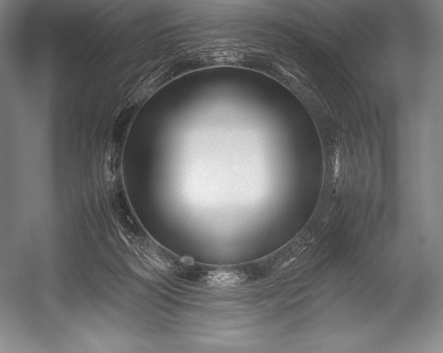 X0000052990218200507221229