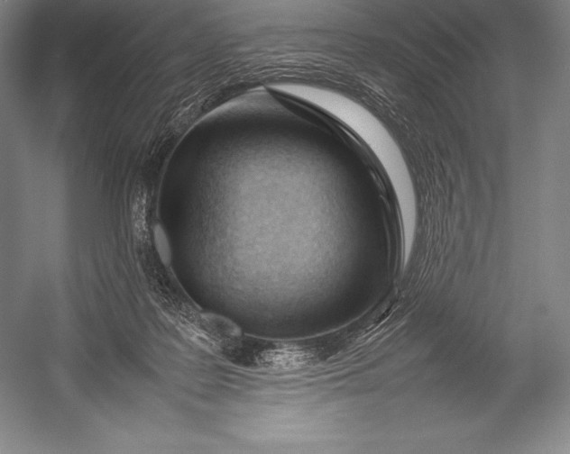 X0000052990219200507221229