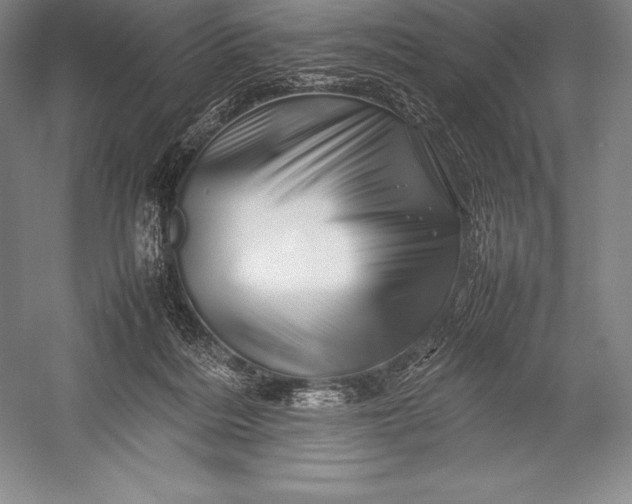 X0000052990220200507221229