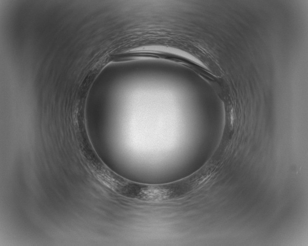 X0000052990221200507221229