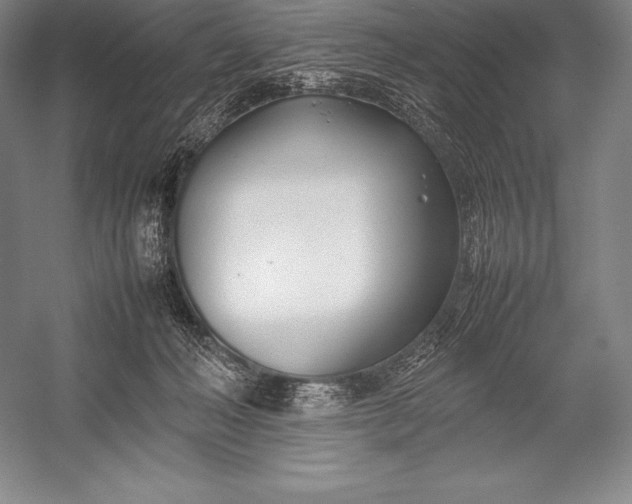 X0000052990222200507221229