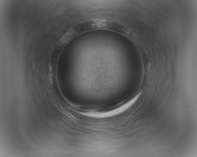 X0000052990223200507221229