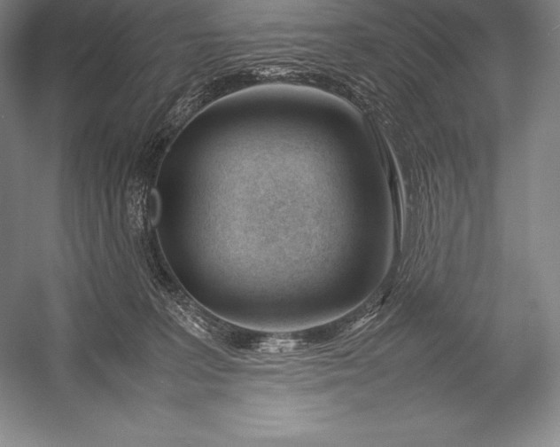X0000052990227200507221229
