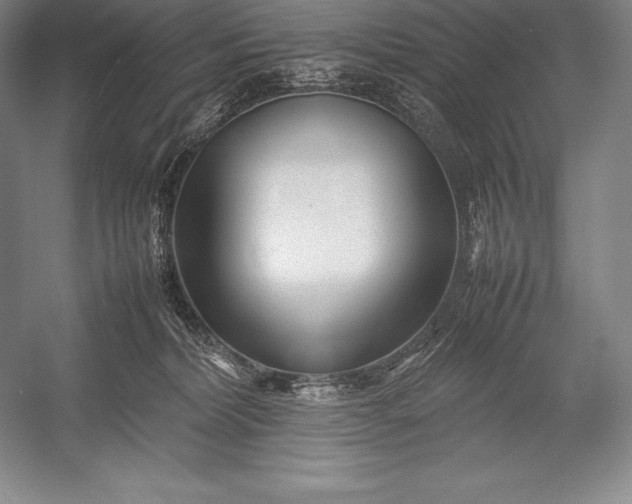 X0000052990228200507221229