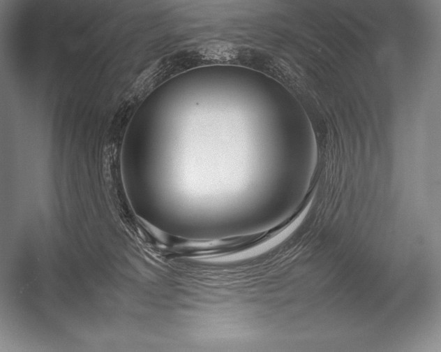 X0000052990229200507221229