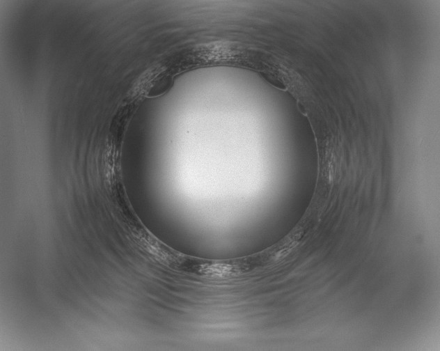 X0000052990230200507221229