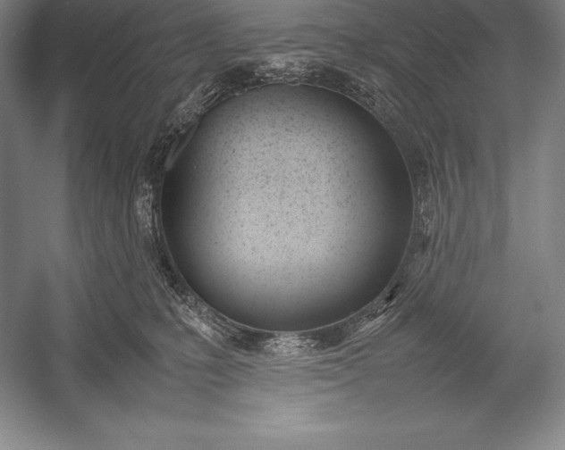 X0000052990231200507221229