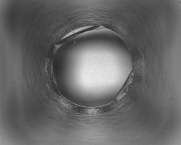X0000052990233200507221229