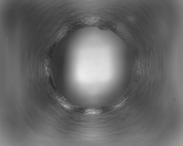 X0000052990234200507221229