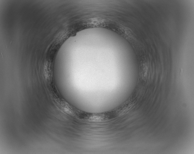 X0000052990236200507221229