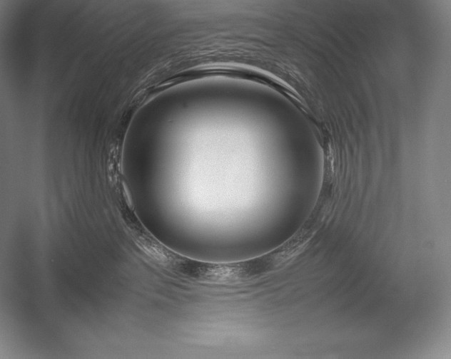 X0000052990237200507221229