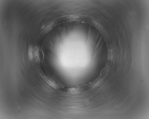 X0000052990238200507221229