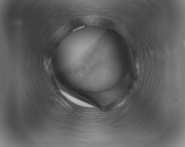 X0000052990239200507221229