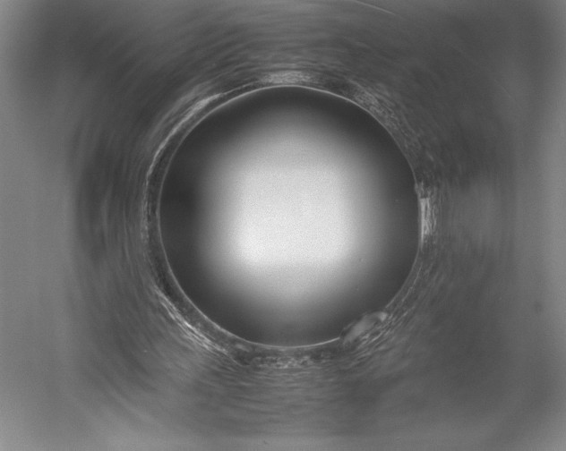 X0000052990243200507221228