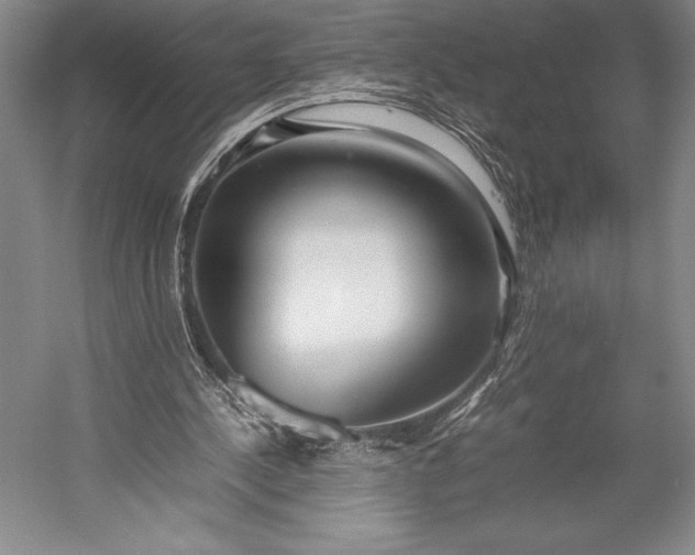 X0000052990244200507221228