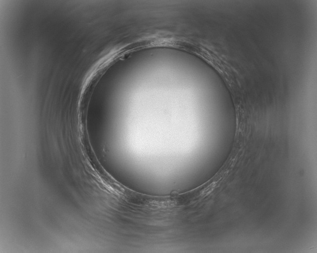 X0000052990245200507221228