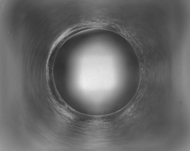 X0000052990246200507221228