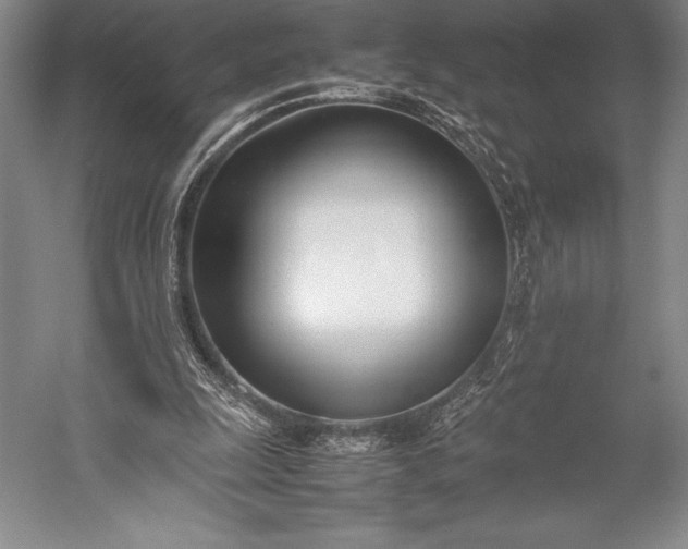 X0000052990247200507221228