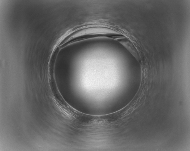 X0000052990248200507221228