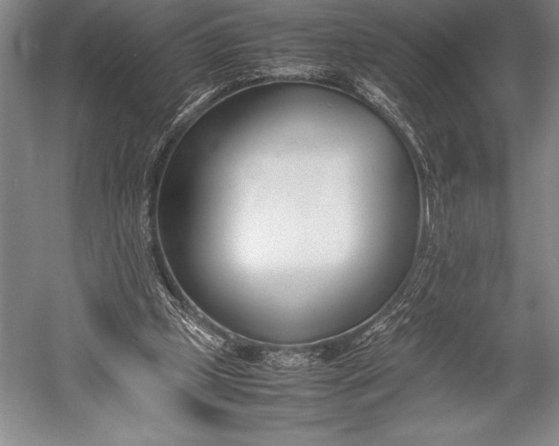 X0000052990249200507221228