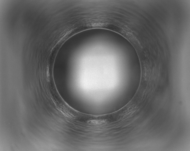 X0000052990251200507221228