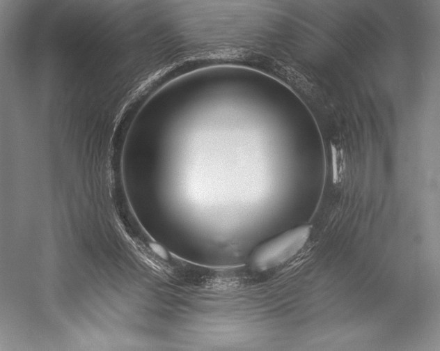 X0000052990252200507221228