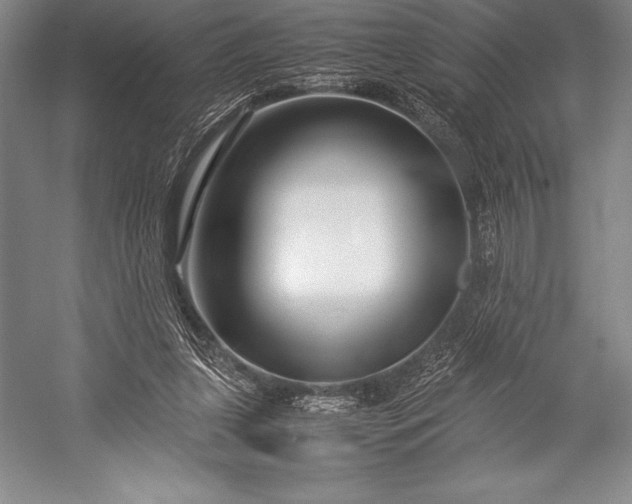 X0000052990255200507221228