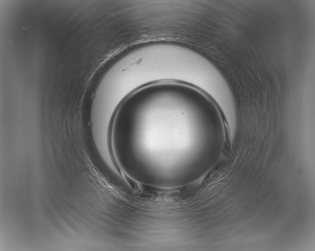 X0000052990256200507221228